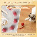 Interactive 360° Cat Ball Toy for Playtime
