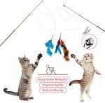 Interactive Feather Wand Toys for Indoor Cats