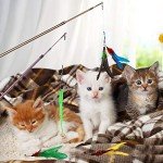 Interactive Feather Wand Toys for Indoor Cats