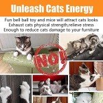 Interactive Cat Toy Set with Collapsible Tunnel