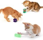 20 Cat Toys: Tunnels, Wands, Mice & More