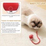 Interactive 360° Cat Ball Toy for Playtime