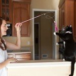 Interactive Cat Feather Wand Toy with Bell Pompom