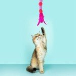Interactive Cat Feather Wand Toy with Bell Pompom
