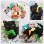 12-Pack Catnip Toys for Indoor Cats and Kittens