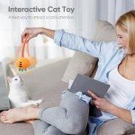 Interactive Sisal Cat Toys - 2 Pack Set