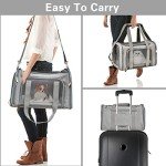 Portable Soft-Sided Cat and Dog Carrier
