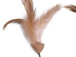 Feather Tail Mice Cat Toys - 2 Pack