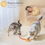 Interactive Sisal Cat Toys - 2 Pack Set