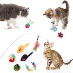 20-Piece Interactive Cat Toy Set for Indoor Fun
