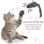 2-Pack Hanging Cat Toys for Interactive Play