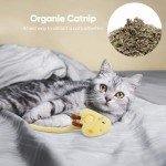 Interactive Sisal Cat Toys - 2 Pack Set