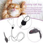 2-Pack Hanging Cat Toys for Interactive Play