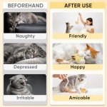 Interactive Sisal Cat Toys - 2 Pack Set