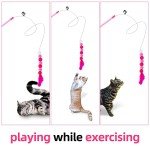 Interactive Cat Feather Wand Toy with Bell Pompom