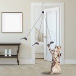 2-Pack Hanging Cat Toys for Interactive Play