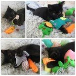 12-Pack Catnip Toys for Indoor Cats and Kittens