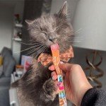Chicken Lick-e-Lix Cat Treats - Kitten Friendly
