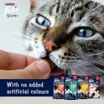 FELIX Mixed Cat Treats Snack Box 810g