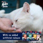 FELIX Mixed Cat Treats Snack Box 810g