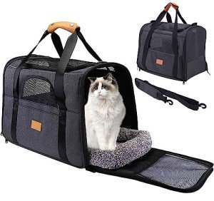 Collapsible Cat and Small Pet Travel Carrier