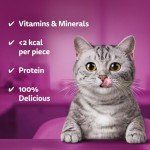 Whiskas Temptations Chicken and Cheese Cat Treats