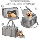 Portable Soft-Sided Cat and Dog Carrier