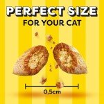 Dreamies Salmon Flavored Cat Treats - Twin Pack