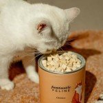 Natural Freeze-Dried Chicken Treats for Cats