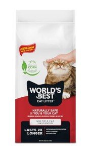 Best Unscented Cat Litter for Multiple Cats