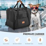 Collapsible Large Cat Carrier for Travel and Pets