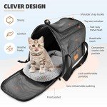 Collapsible Large Cat Carrier for Travel and Pets