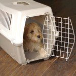 Mocha Small Cat Carrier by Rosewood Vision