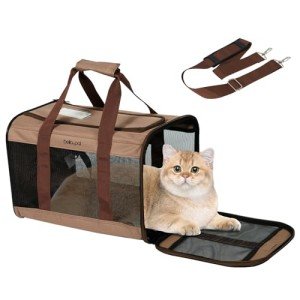 Foldable Cat Carrier - Airline Approved & Durable