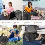 Collapsible Large Cat Carrier for Travel and Pets
