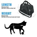 Airline Approved Soft-Sided Cat Carrier - Black