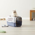 Amazon Basics Hard-Sided Cat Carrier - Blue