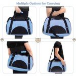 DAWOO Portable Soft-Sided Cat Carrier Bag