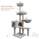 Multi-Level Cat Tree and Scratching Post