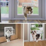 4-Way Locking Cat Door for Glass & Walls