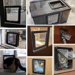 Smart Cat Flap and Litter Box Enclosure