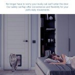 Roxanex Large Weatherproof Cat Flap with 4-Way Lock