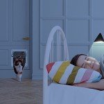 4-Way Lock Cat Door - Weatherproof & Easy Install