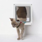 4-Way Locking Cat Door with Large Flap