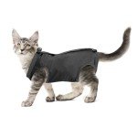 Cobee Cat Recovery Suit for Surgery & Skin Issues