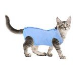 Molain Cat Recovery Suit - Anti-Licking Pajama for Kittens