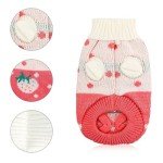 Rumyve Cute Strawberry Cat Sweater for Winter