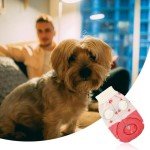 Rumyve Cute Strawberry Cat Sweater for Winter