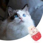 Rumyve Cute Strawberry Cat Sweater for Winter