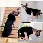 Dinosaur Costume for Sphynx Cats: Soft Jumper